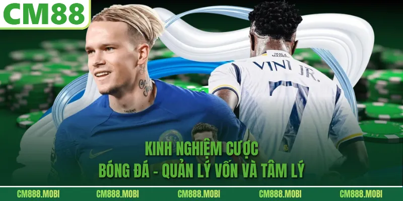 Kinh Nghiệm Cược Bóng Đá - Quản lý vốn và tâm lý 